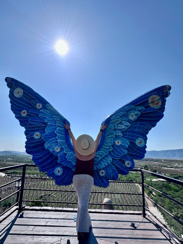 clarissa-angel-wings