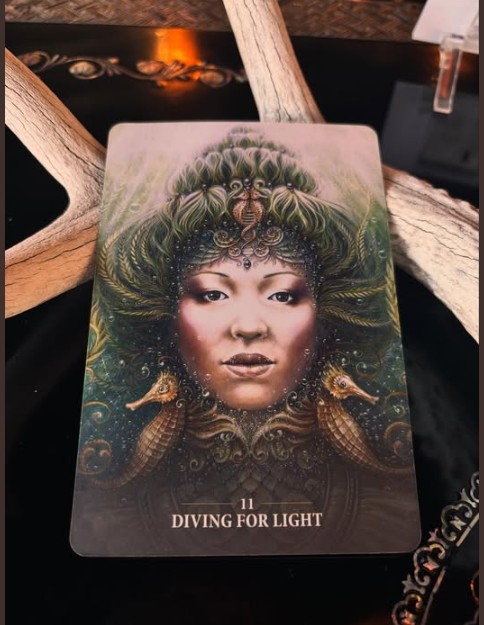 diving-for-light-alana-fairchild